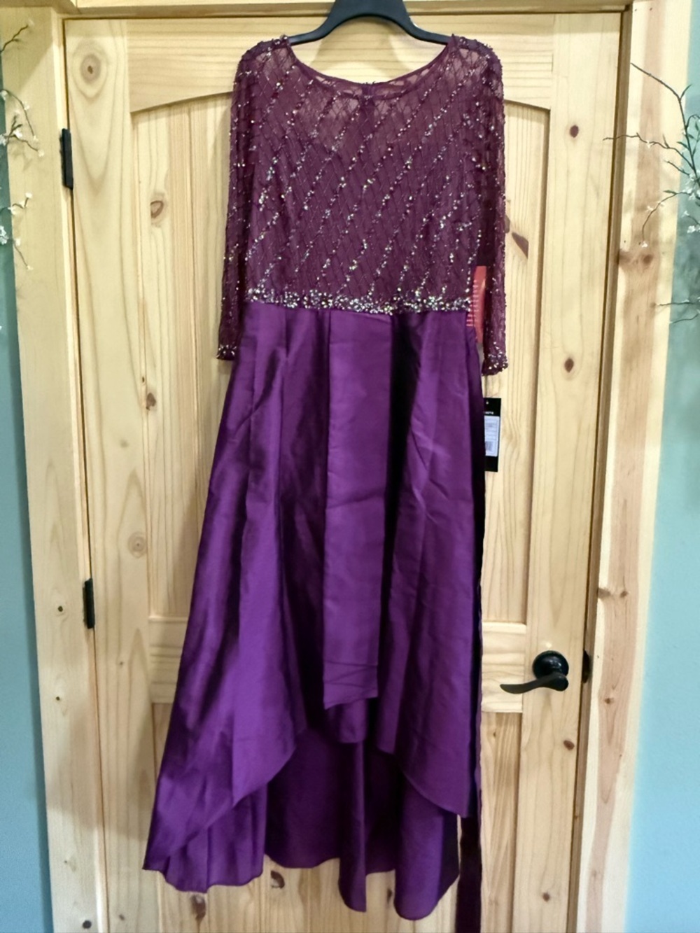 Embellished Plum Evening Dress